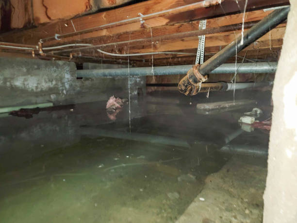 Best Commercial water damage restoration  in Cadiz, KY