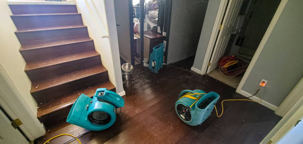 Best Ceiling water damage repair  in Cadiz, KY