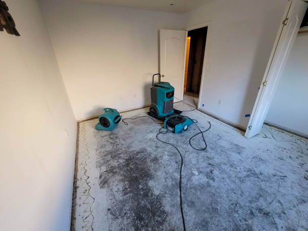 Best Flooded house restoration  in Cadiz, KY