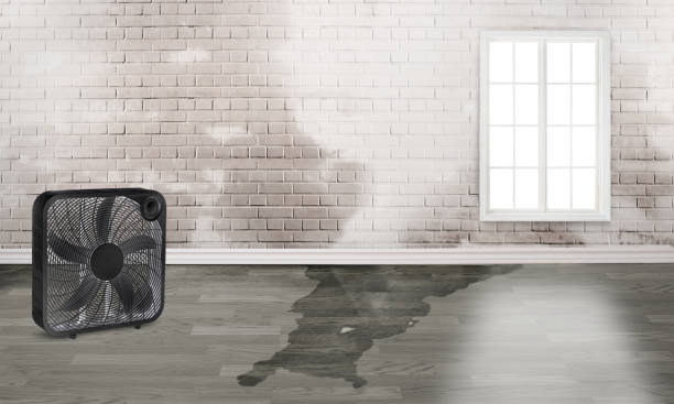 Trusted KY Water damage restoration Experts