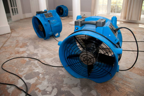 Best Water damage restoration near me  in Cadiz, KY