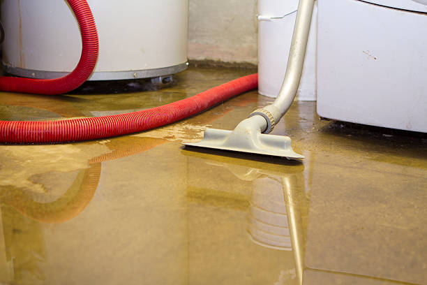 Best Professional water damage repair  in Cadiz, KY
