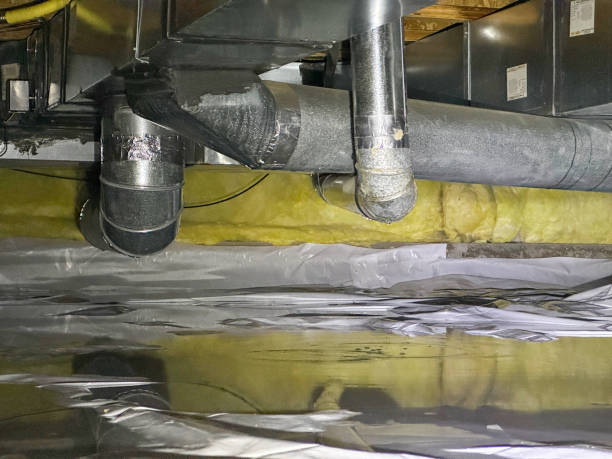 Best Fire Damage Restoration  in Cadiz, KY