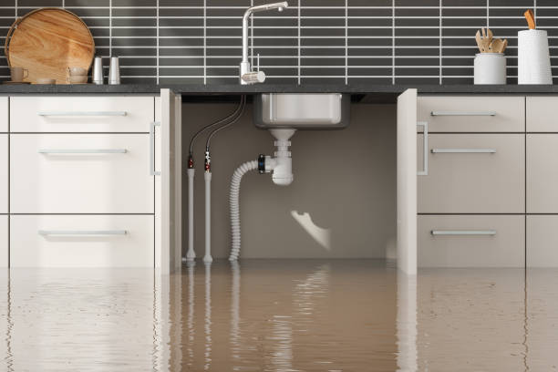 Best 24/7 water damage repair  in Cadiz, KY