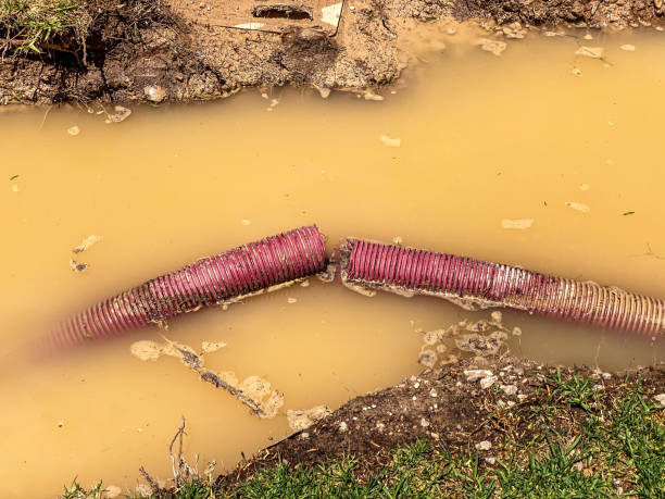  Cadiz, KY Water damage restoration Pros