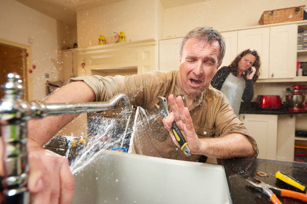 Best Flood damage cleanup  in Cadiz, KY
